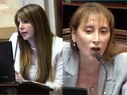 Dos senadoras se cruzaron en plena sesión con fuertes descalificaciones: ¡Callate, mamarracho!