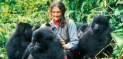 El misterio que persiste 40 años después: ¿Quién mató a la guardiana de los gorilas Dian Fossey?