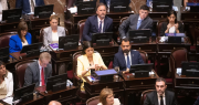 Ley de Presupuesto 2026: uno por uno, así votaron los senadores de la provincia