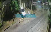 VIDEO. Intento de robo en La Plata: cinco delincuentes intentaron forzar un portón y escaparon corriendo