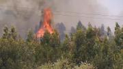 Se reavivó el incendio de campo en Melilla: van 60 hectáreas quemadas en el segundo día de combate