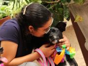 ProAnimal Guayaquil inicia campaña contra pirotecnia: Protege a perros y gatos del estrés en fiestas de diciembre