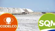 Nova Andino Litio: Codelco y SQM crean la mayor empresa público-privada de Chile para explotar litio