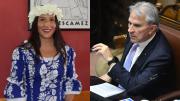 Diputados critican publicación de embajadora en Nueva Zelandia sobre autodeterminación de Rapa Nui
