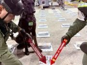 Incautan en Táchira más de 50 kilos de cocaína ocultos en el tanque de gasolina de una camioneta