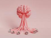 El 10% de los mayores de 70 años tiene alzhéimer pero aún no tiene síntomas