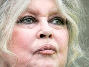 Brigitte Bardot y su confesión sobre su único hijo: Habría preferido parir un cachorro