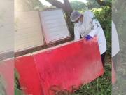 Suspenden para lunes la audiencia de los acusados de asesinar a la mujer hallada en un freezer