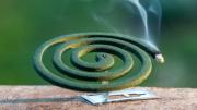 Cómo hacer un espiral casero con pocos ingredientes para ahuyentar a los mosquitos en verano