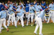 Magallanes y Águilas directos al Round Robin, Caribes y Tigres por el comodín