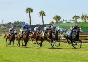 Septiembre quedó grabado con cifras históricas que catapultaron a los venezolanos a un nivel jamás visto en Estados Unidos