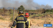 Choque originó incendio forestal en Chillán: sectores aledaños se encuentran sin suministro eléctrico