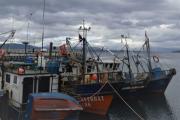 Región de Magallanes concentra más de 12 mil inscripciones en Registro de Pesca Artesanal