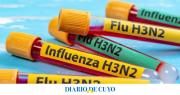 Influenza A H3N2: todo lo que tenes que saber sobre la nueva mutación, de la mano de una infectóloga sanjuanina
