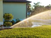 Cómo evitar que el pasto se ponga amarillo: claves para mantenerlo verde en verano