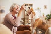 Caninoterapia, la terapia que transforma la vida en los geriátricos: su impacto en las personas mayores