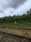 Hallan cuerpo sin vida junto a las rieles del tren 