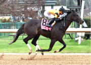 Counting Stars con el jinete venezolano Francisco Arrieta consigue su segundo Stakes en menos de dos semanas