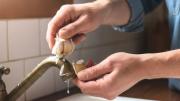 Frotar ajo en las canillas de agua de casa: por qué recomiendan hacerlo y para qué sirve