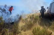 Emergencia ígnea en Río Negro: en Viedma prohíben todo tipo de quema por el alto riesgo de incendios