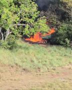 Fuerza Armada destruye una aeronave oculta en zona fronteriza con Colombia