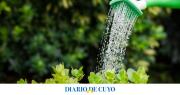 El truco de un experto para mejorar el riego de las plantas y que crezcan mejor