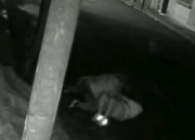 Cautelaran a un ingeniero y un reportero de un medio digital por lesiones graves y leves