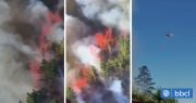 Bomberos emite tercera alarma por incendio forestal en la comuna de Hualqui