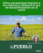 Clima excepcional impulsa a los cultivos y refuerza el uso de bioestimulantes en el norte ‣ Martin Ferreira Pinto