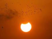 El cielo en el 2026: se vienen cuatro eclipses y un Sol inquieto