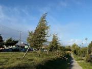 Decretan Alerta Temprana por ráfagas de viento de hasta 100 km/h para este fin de año