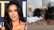 El regalo navideño de Kim Kardashian que hizo enfurecer a PETA