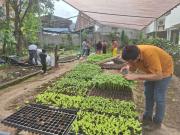 Proyecto estatal fortalece gestión de residuos y huertos comunitarios en 16 provincias