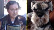 Adulta mayor que reclamó por ladridos denuncia amenazas de animalistas: Para ellos vale más la vida de un perro