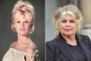Herencia de Brigitte Bardot en el ojo del huracán: ¿Quién se queda con su dinero?