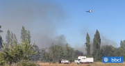 Senapred declara Alerta Roja en Ñiquén por incendio forestal: cerca de 4 hectáreas afectadas