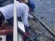 Cruzaban el Atlántico y vieron a un animal marino en problemas: Tuvieron suerte de estar ahí para salvarlo