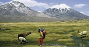 Arica y Parinacota más allá de las playas: pueblos y tradiciones vivas