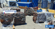 Incautan 600 kilos de cable de cobre robado en el puerto de Arica: iba hacia Corea del Sur