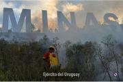 Más de dos mil hectáreas afectadas por incendios