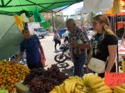 Crisis económica deja sin uvas de la suerte a familias de Ribas