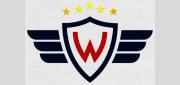 CONSEJO SUPERIOR DEL FÚTBOL CONFIRMA DESCENSO DE WILSTERMANN Y MANTIENE 16 EQUIPOS EN LA DIVISIÓN PROFESIONAL PARA 2026