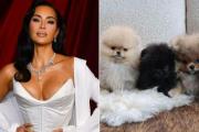 Kim Kardashian regala perros a sus hijos y la critican en redes: “No son peluches” –