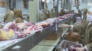 China impondrá un arancel adicional de 55% a las importaciones de carne de Uruguay y otros países