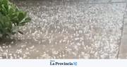 Fuerte caída de granizo en zonas de Pocito y Sarmiento