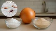 Cómo mezclar cebolla y bicarbonato para eliminar a las cucarachas de casa: combinación casera efectiva