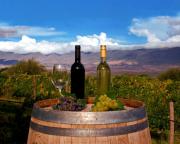 Vinos tucumanos por ley: Buscan que todos los bares y restaurantes de la provincia ofrezcan etiquetas locales