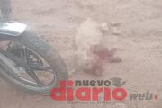 Lo descubrieron robando un lechón en Monte Quemado y fue demorado