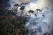 Los incendios en la Amazonía brasileña cayeron en 2025 a su menor nivel en 28 años