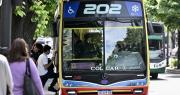Rige un nuevo aumento de micros: ¿cuánto cuesta viajar en La Plata a partir de este viernes?